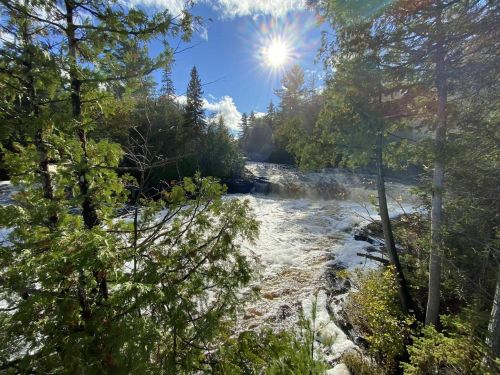 A sunlit river flows through a forest, surrounded by trees and mist, creating a serene natural scene.
