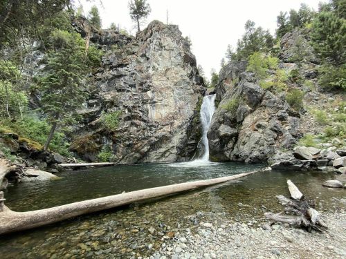 A serene waterfall cascades into a clear pool, surrounded by rocky cliffs and lush greenery.