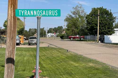 A street sign reading "TYRANNOSAURUS" stands on a grassy area beside a quiet road with trees and buildings in the background.