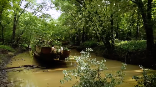 Abandoned boat surrounded by lush greenery and muddy water in a serene forest setting.