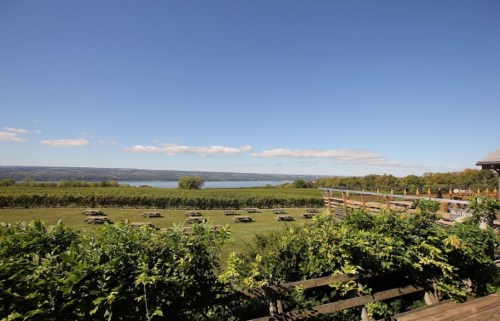 Scenic view of a lake surrounded by greenery and rolling hills under a clear blue sky.