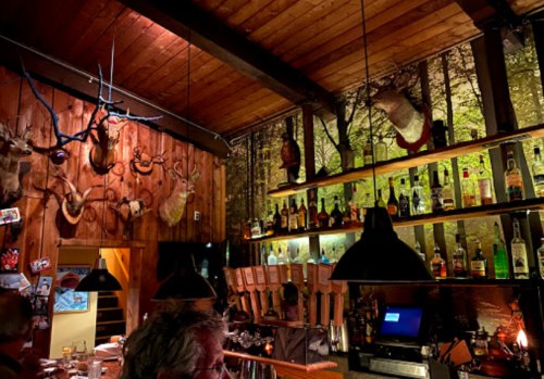 Cozy bar interior with wooden walls, mounted animal heads, and a well-stocked shelf of liquor bottles.