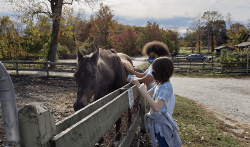 A child and a person with curly hair interact with a horse at a farm, surrounded by autumn foliage.