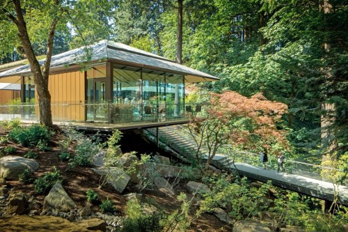 A modern glass building surrounded by trees and greenery, connected by a walkway over rocky terrain.