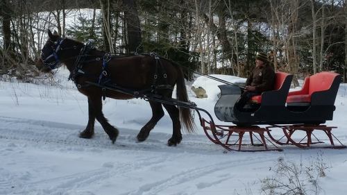 A horse pulls a red sleigh through a snowy landscape, with a person seated in the sleigh. Trees are visible in the background.