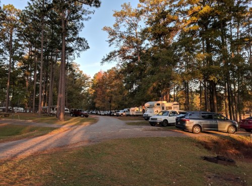 A gravel road leads through a wooded area with parked RVs and cars among tall trees in a campground setting.