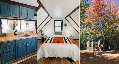 Cozy cabin interior featuring a kitchen, bedroom with a bed, and an exterior view of trees with autumn foliage.