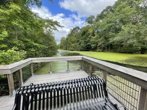 A wooden viewing platform with a black bench overlooks a serene, green river surrounded by lush trees under a cloudy sky.