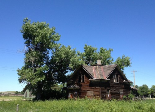 An old, weathered wooden house surrounded by tall trees and overgrown grass under a clear blue sky.