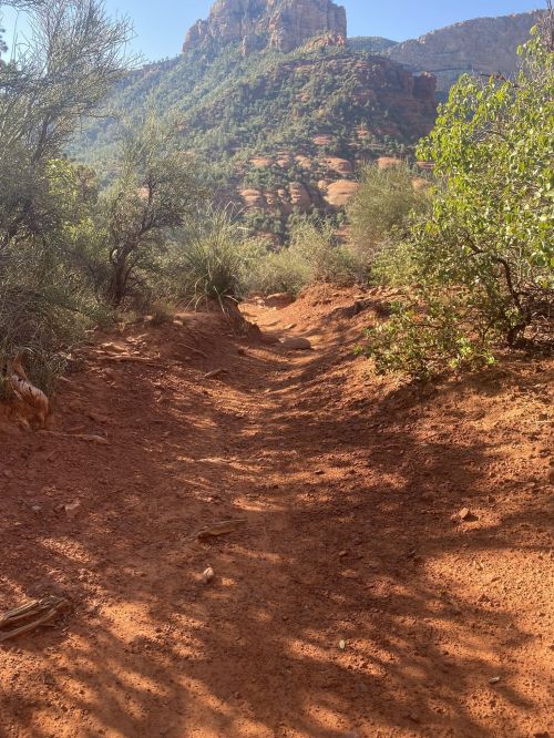 A dirt path winding through a desert landscape with shrubs and rocky formations in the background.