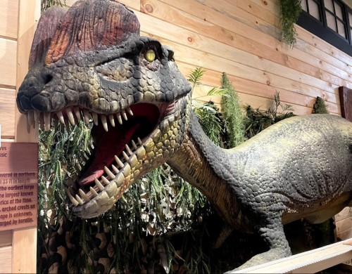 A life-sized dinosaur model with a large crest, displaying sharp teeth, set against a wooden backdrop and greenery.