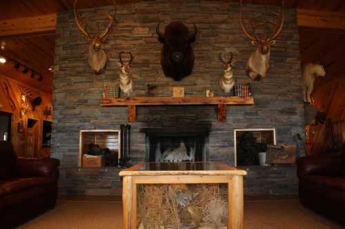 A rustic living room with a stone wall, mounted animal heads, a fireplace, and a wooden coffee table.