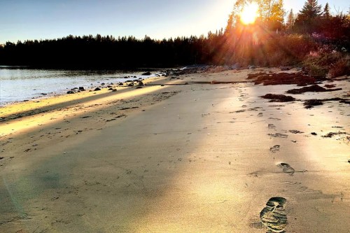 A serene beach at sunset, with footprints in the sand and sunlight streaming through trees in the background.