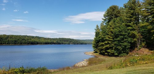 A serene lake surrounded by lush green trees under a clear blue sky, with gentle ripples on the water's surface.