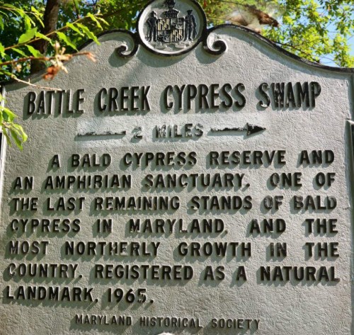 Sign for Battle Creek Cypress Swamp, detailing its significance as a natural landmark and cypress reserve in Maryland.