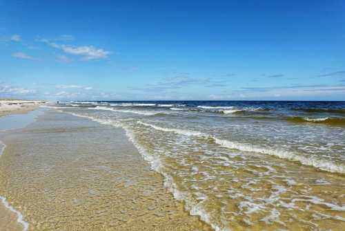 A serene beach scene with gentle waves lapping at the shore under a clear blue sky.