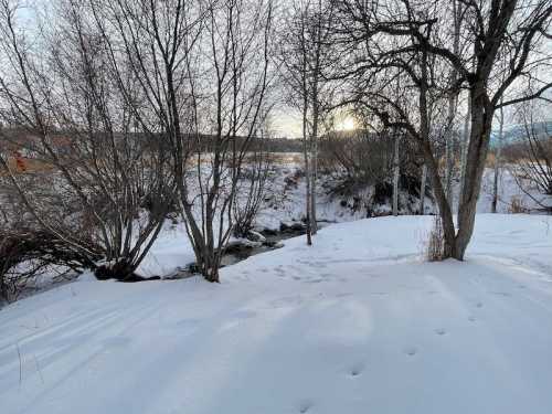 A snowy landscape with bare trees and a small stream, reflecting soft light from the setting sun.