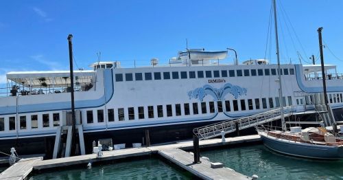 A large white and blue ferry docked at a marina, with boats and clear blue skies in the background.