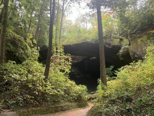 A serene forest scene featuring a large rock overhang surrounded by lush greenery and a winding path.