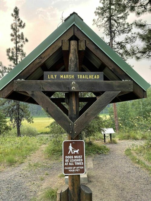 Sign at Lily Marsh Trailhead indicating leash rules for dogs and a reminder to clean up after pets.