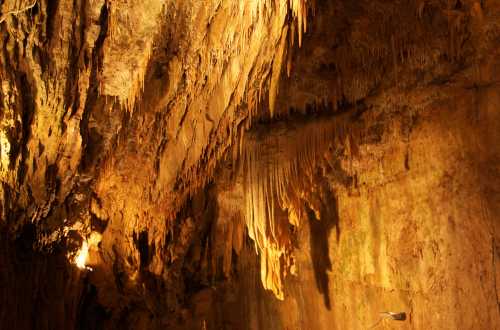 Stalactites hang from a cave ceiling, illuminated by warm light, showcasing intricate rock formations.