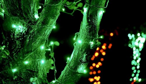 A close-up of a tree trunk wrapped in green lights, with blurred orange lights in the background.