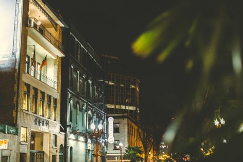 Nighttime cityscape featuring buildings with illuminated signs and greenery in the foreground.