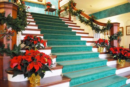 A festive staircase adorned with green carpet, garlands, and red poinsettias in decorative pots.