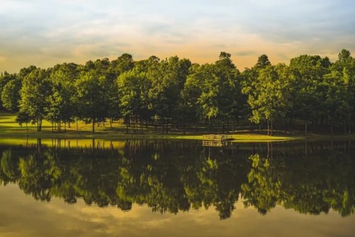 A serene lake surrounded by lush green trees, reflecting the landscape under a soft, golden sky.