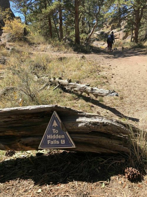 A wooden sign points the way to Hidden Falls along a hiking trail, with a person and dog in the background.