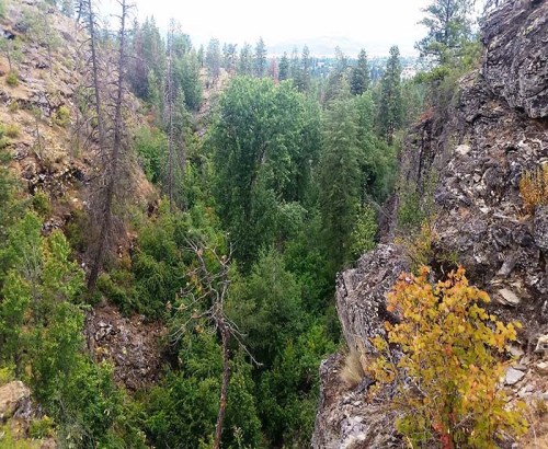 A lush green valley surrounded by rocky cliffs and trees, with a distant view of more forested hills.