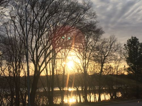Sunset over a calm lake, with silhouetted trees and a cloudy sky reflecting warm golden hues.