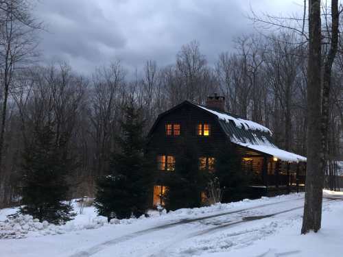 A dark wooden house with glowing windows, surrounded by snow and trees under a cloudy sky.
