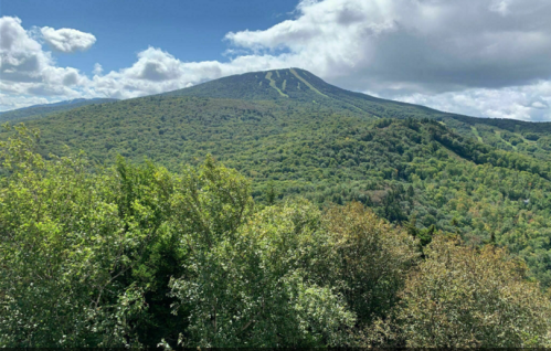 A lush green mountain under a partly cloudy sky, with trees in the foreground and ski trails visible on the slope.