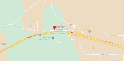 Map showing the location of Grand Canyon Deer Farm LLC near the intersection of highways and nearby attractions.