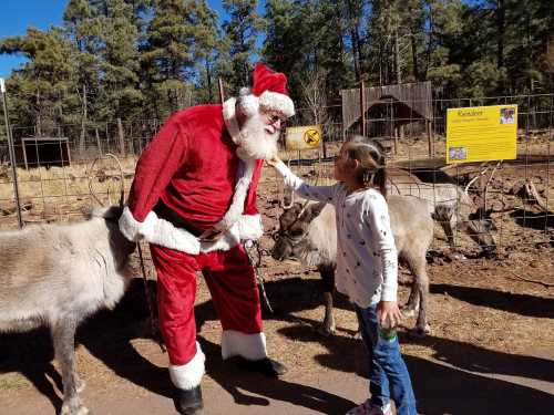 A girl pets a reindeer while Santa Claus greets her in a sunny outdoor setting.