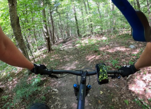 A mountain biker's view on a wooded trail, hands on the handlebars, surrounded by lush green trees.