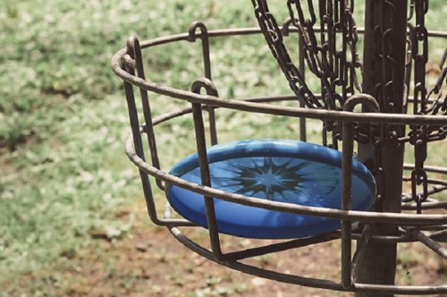 A blue frisbee rests in a metal disc golf basket, surrounded by green grass.