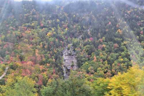 A vibrant forest with autumn foliage in shades of green, yellow, and red, featuring a waterfall cascading down the rocks.