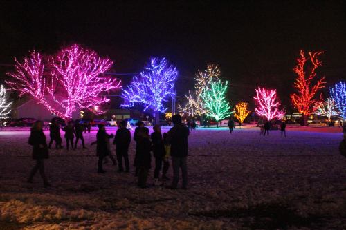 Colorful illuminated trees in pink, blue, and green light up a snowy park, with people enjoying the festive scene.