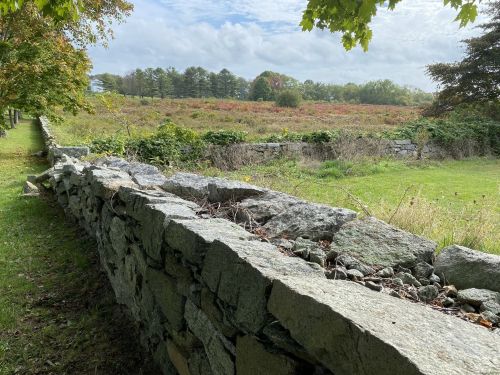 A stone wall borders a grassy field with trees in the background under a cloudy sky.