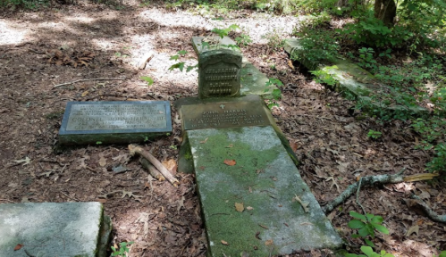 Two weathered gravestones in a wooded area, surrounded by fallen leaves and greenery.