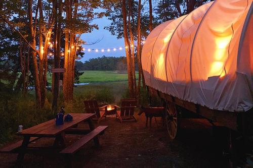 A cozy campsite with a covered wagon, string lights, and a fire pit surrounded by trees and a scenic view.