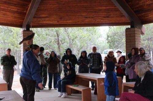 A group of people gathers under a shelter, watching a person with a bird of prey. Trees are visible in the background.