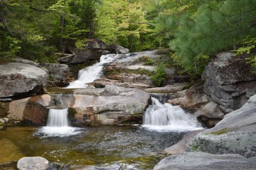 A serene waterfall cascades over rocks, surrounded by lush green trees in a tranquil forest setting.