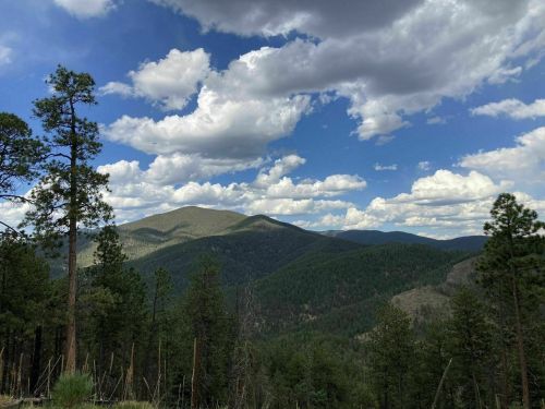 A scenic view of mountains and trees under a partly cloudy sky, showcasing lush greenery and distant peaks.