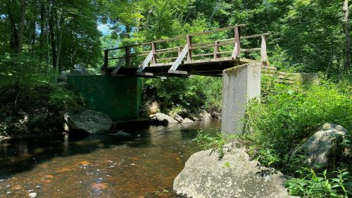 A wooden bridge spans a calm stream, surrounded by lush greenery and large rocks.