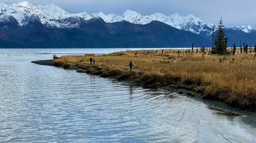 A serene landscape featuring a calm waterway, grassy shore, and snow-capped mountains in the background.