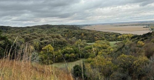 A panoramic view of rolling hills and valleys, with trees in autumn colors under a cloudy sky.