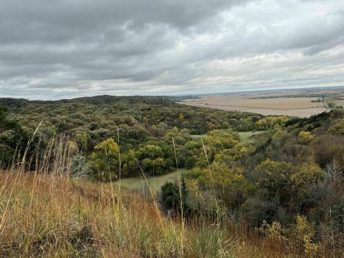 A panoramic view of rolling hills and valleys, with autumn foliage under a cloudy sky.